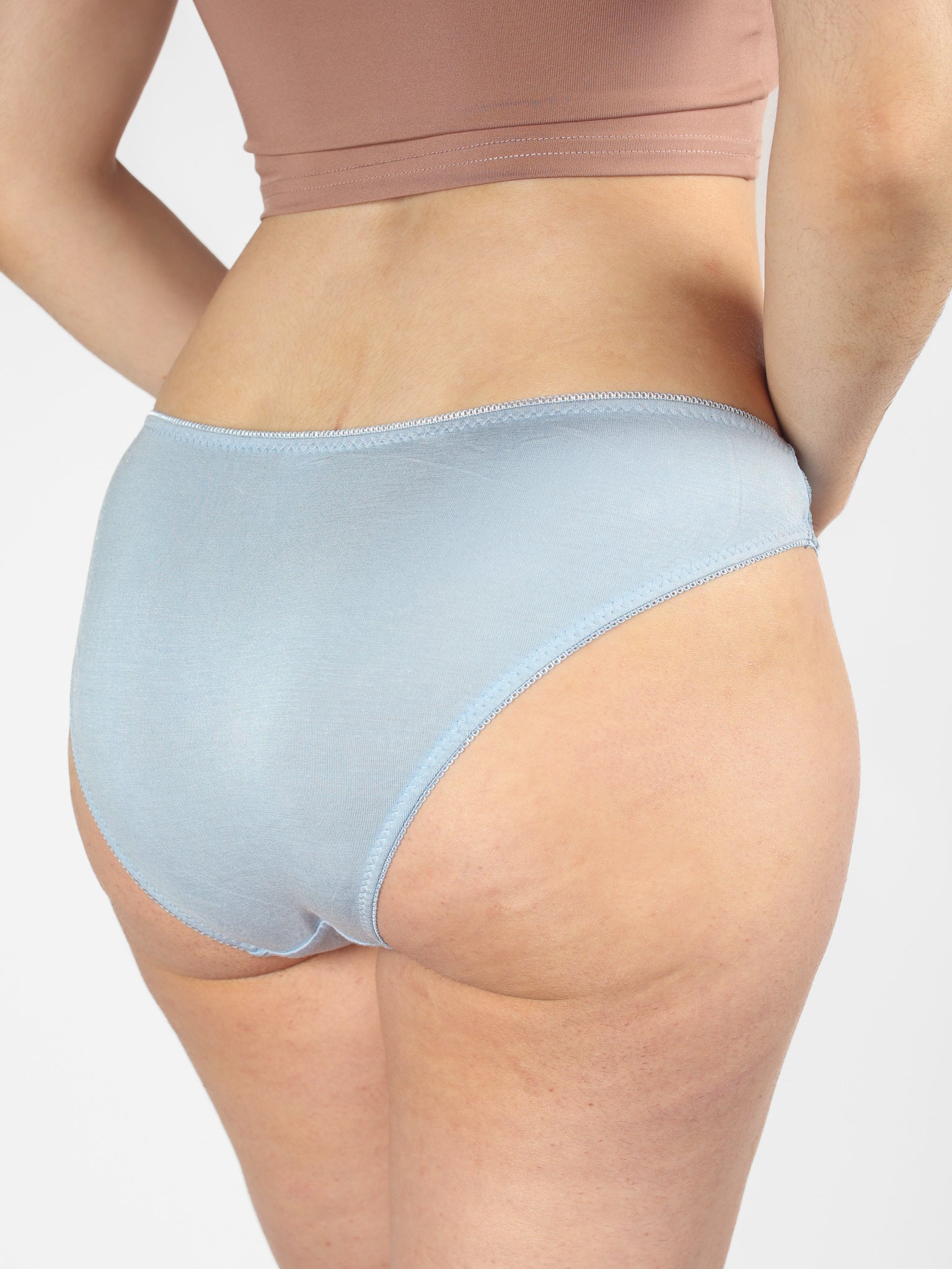 Blue Scarlet Ibis Brief - Image 4